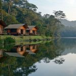 Camping écologique